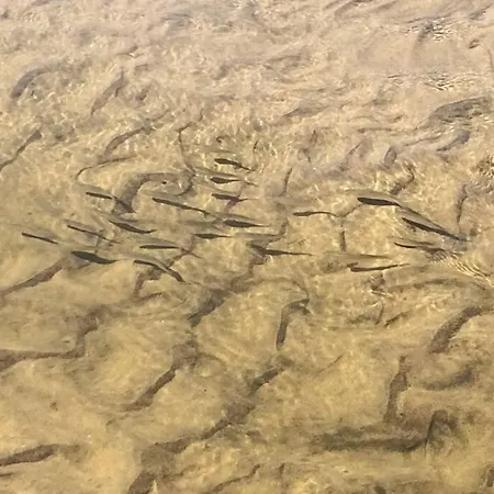 Holiday home Casa Nova