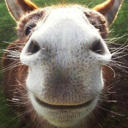 Casa Nova Holiday home